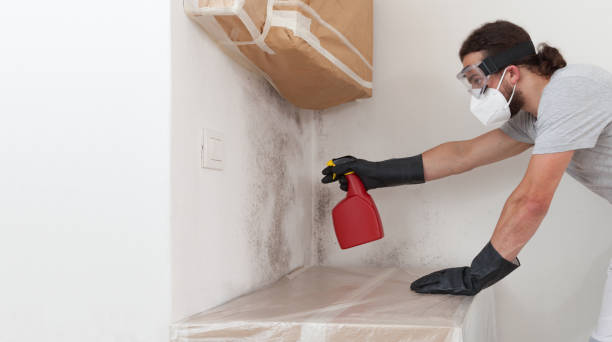 Professional Bathroom Mold Removal technician working in Felton, PA
